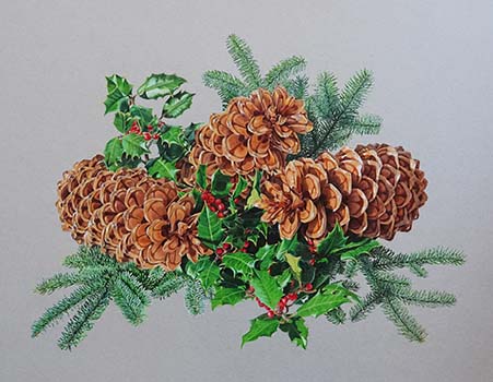A Christmas drawing of pinecones and holly