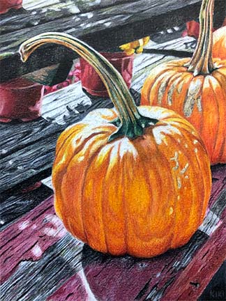 Single Pumpkin Sketch